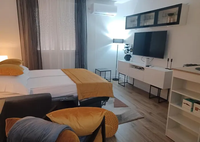 公寓 Sonja 扎达尔