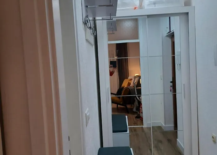 公寓 Sonja 扎达尔